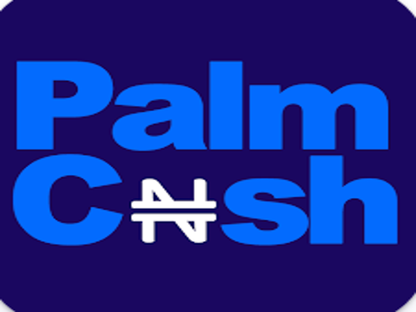 PalmCash - Loan Shark Review